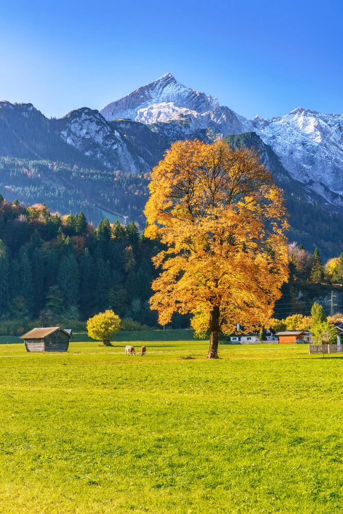 Fotokunst von Achim Thomae: Herbstfarben in den Bayerischen Alpen