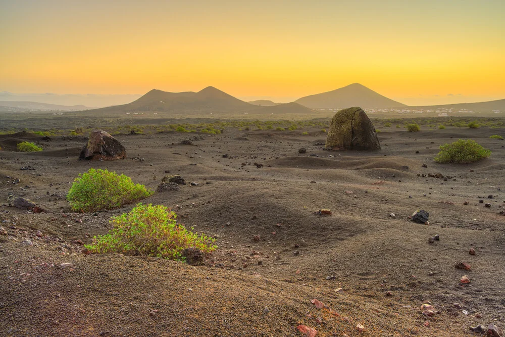 Vulkanlandschaft auf Lanzarote bei Morgendämmerung, friedliche Stimmung mit sanften Farben.