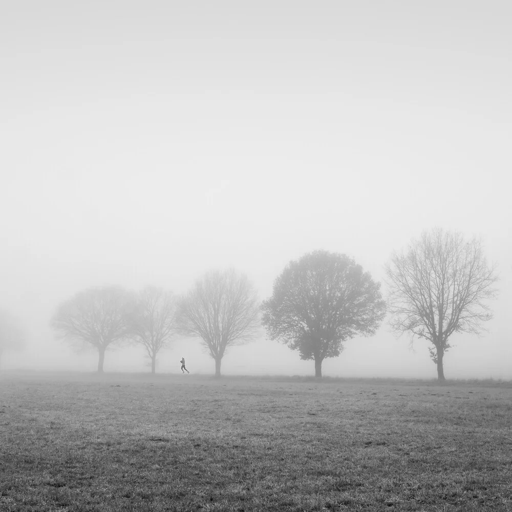 Photo art by Christian Janik: fog enveloping a serene row of trees in autumn.