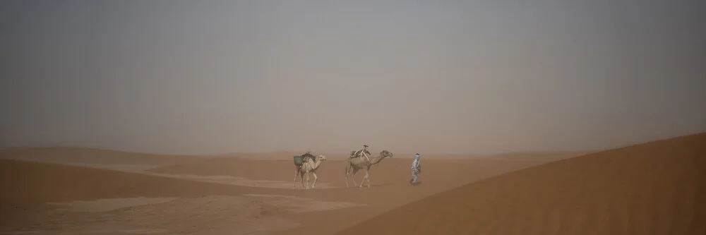 Photo art by Dennis Wehrmann: serene caravan of camels in the Sahara