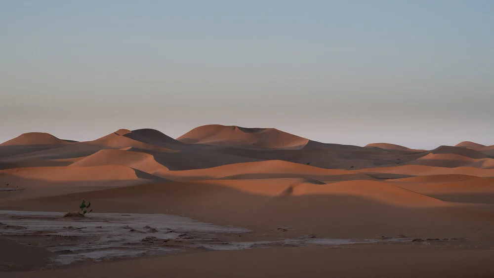 Photo art by Dennis Wehrmann: gentle sunrise in the Sahara with a calm atmosphere