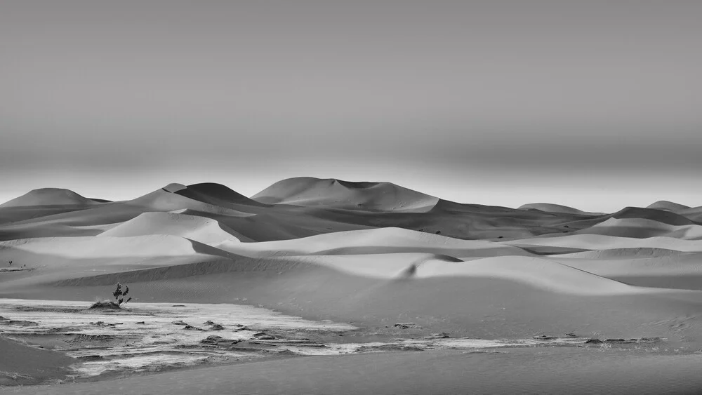 Fotokunst von Dennis Wehrmann: ruhige Dünenlandschaft in der Sahara