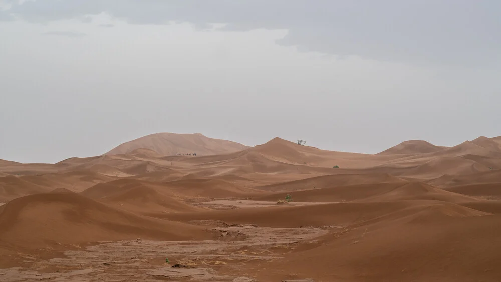 Fotokunst von Dennis Wehrmann: ruhige Dünenlandschaft in der Sahara