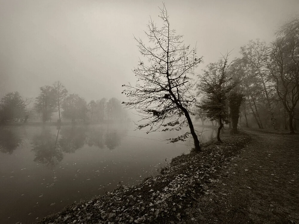 Photo art by Lena Weisbek: tranquil, foggy morning landscape by the river.