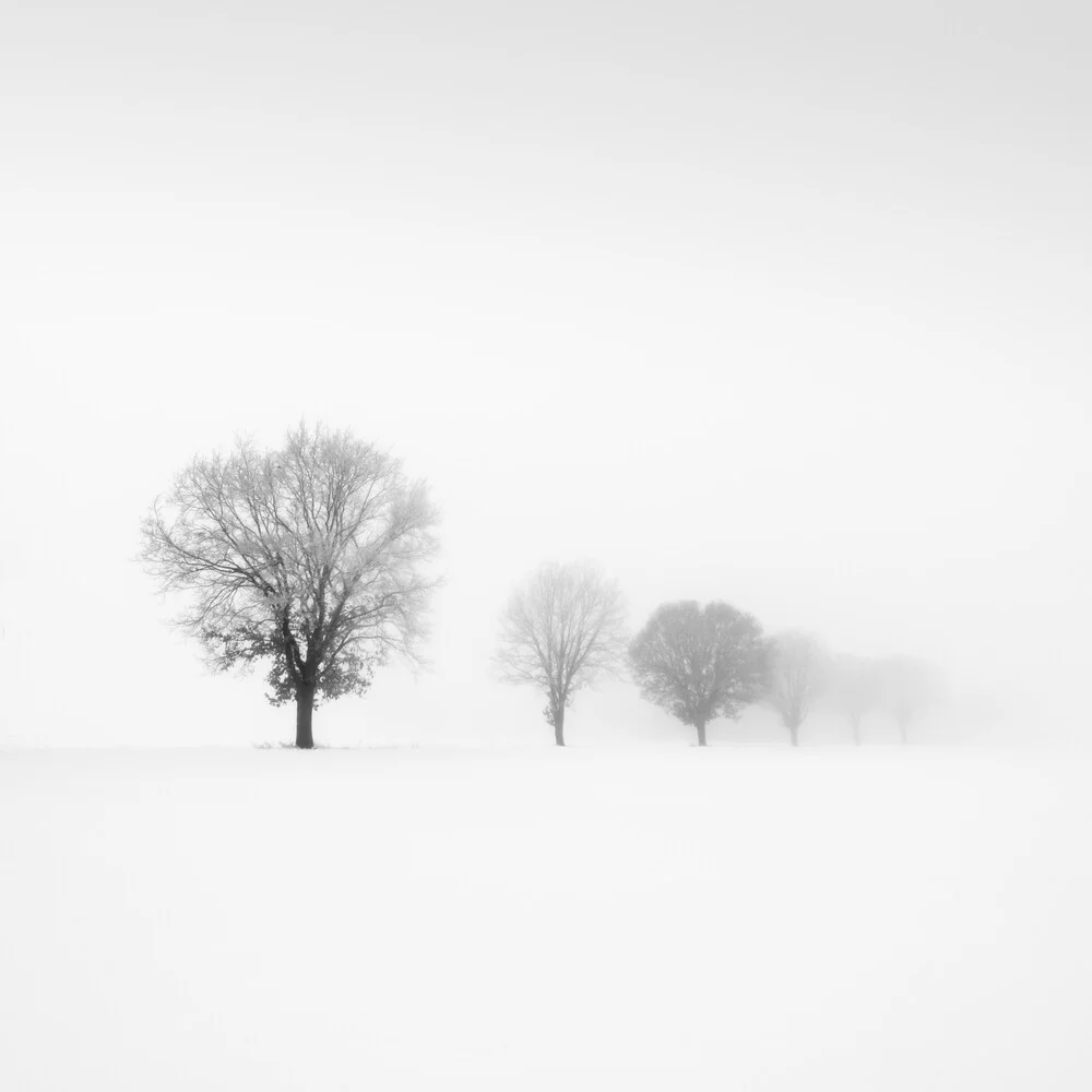 Photo art by Christian Janik: winter tree in fog