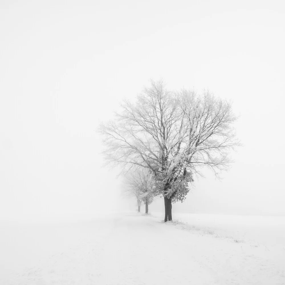 Photo art by Christian Janik: wintry landscape with soft snow blankets