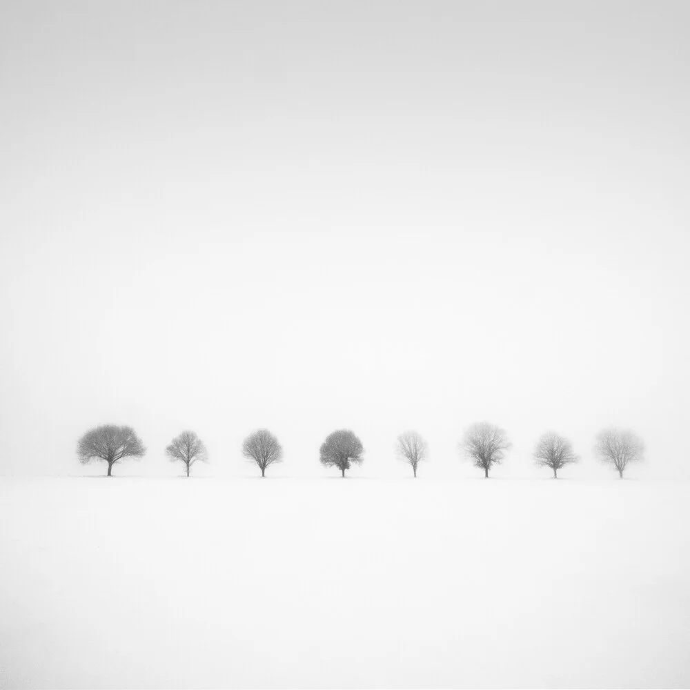 Photo art by Christian Janik: tranquil winter landscape with fog and snow-covered trees