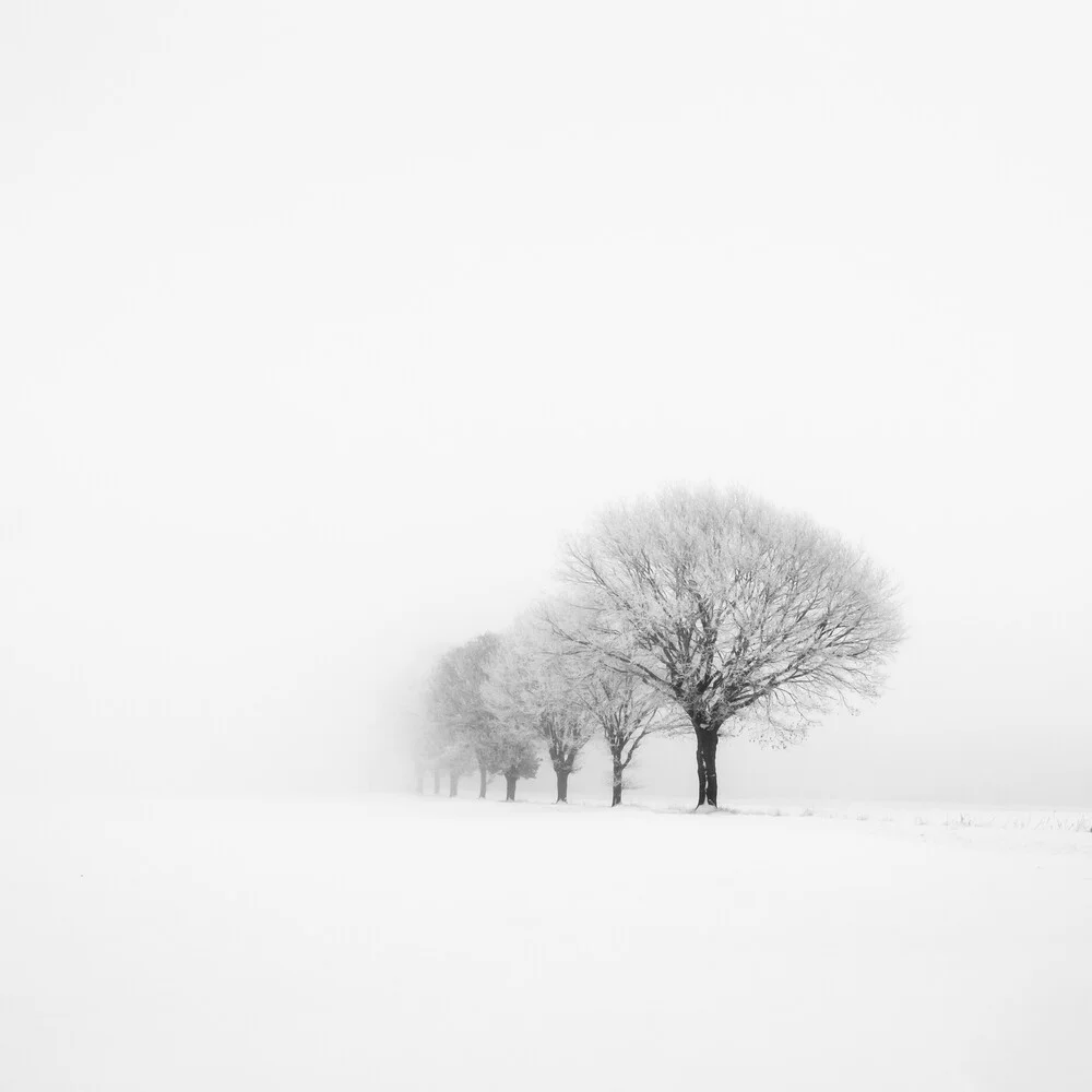 Photo art by Christian Janik: winter landscape with tree and fog