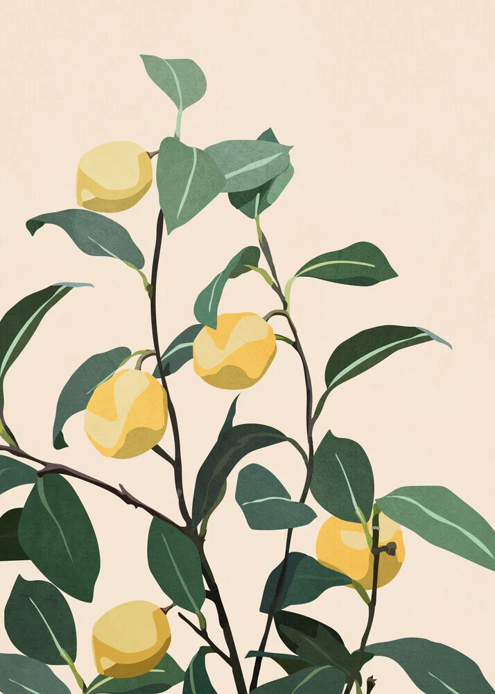 Illustration von Branka Kodžoman: frische Zitronen auf grünem Hintergrund