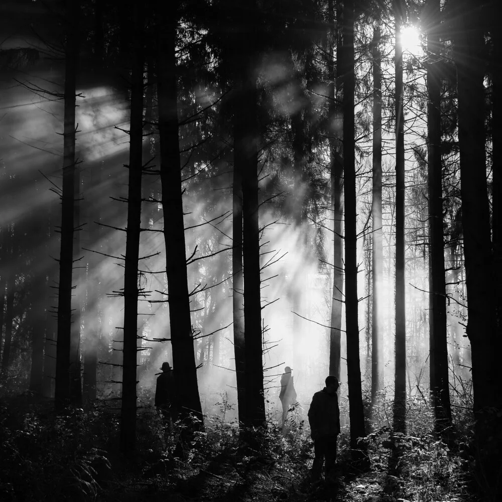mist - Fineart photography by Michael Schaidler