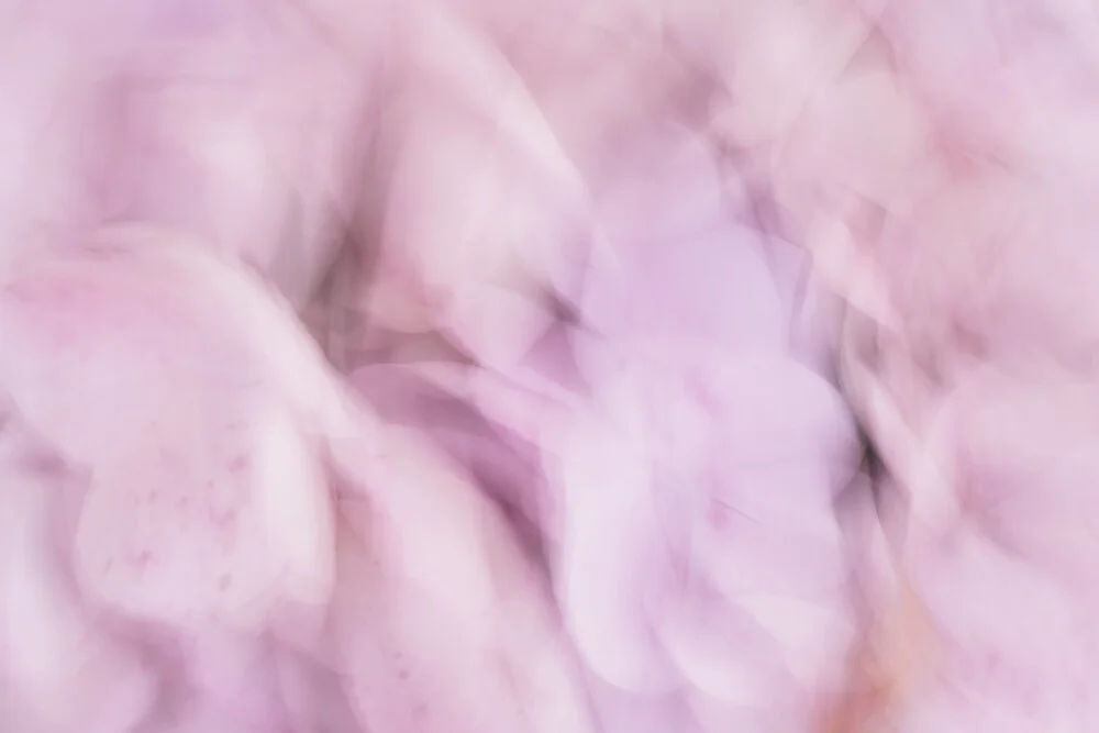 Abstract photo art by Nadja Jacke: soft petals in motion