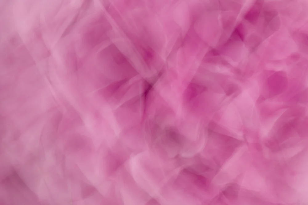 Fotokunst von Nadja Jacke: sanfte, fließende Blüten in sanften Farben