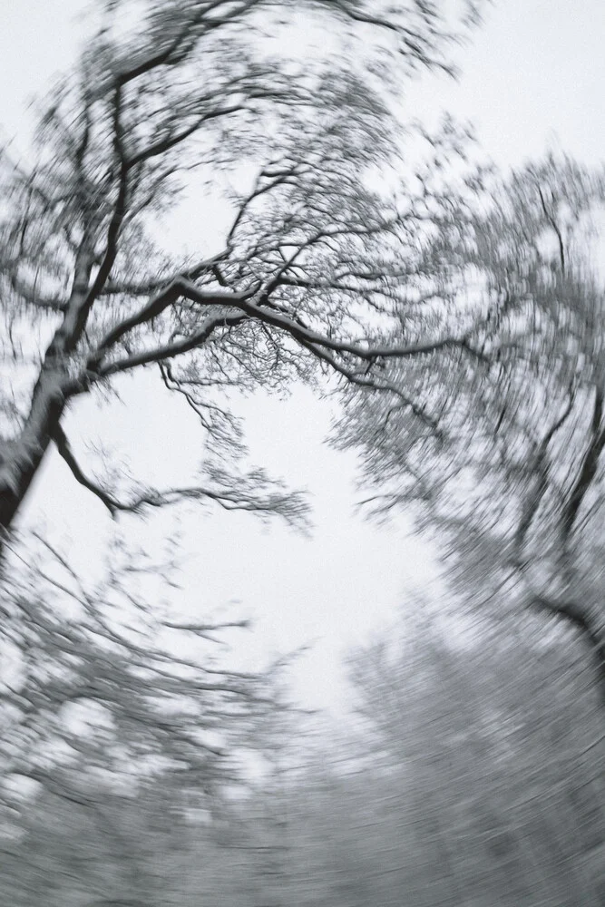 Abstract photo art: motion of branches in a winter forest with soft colors.