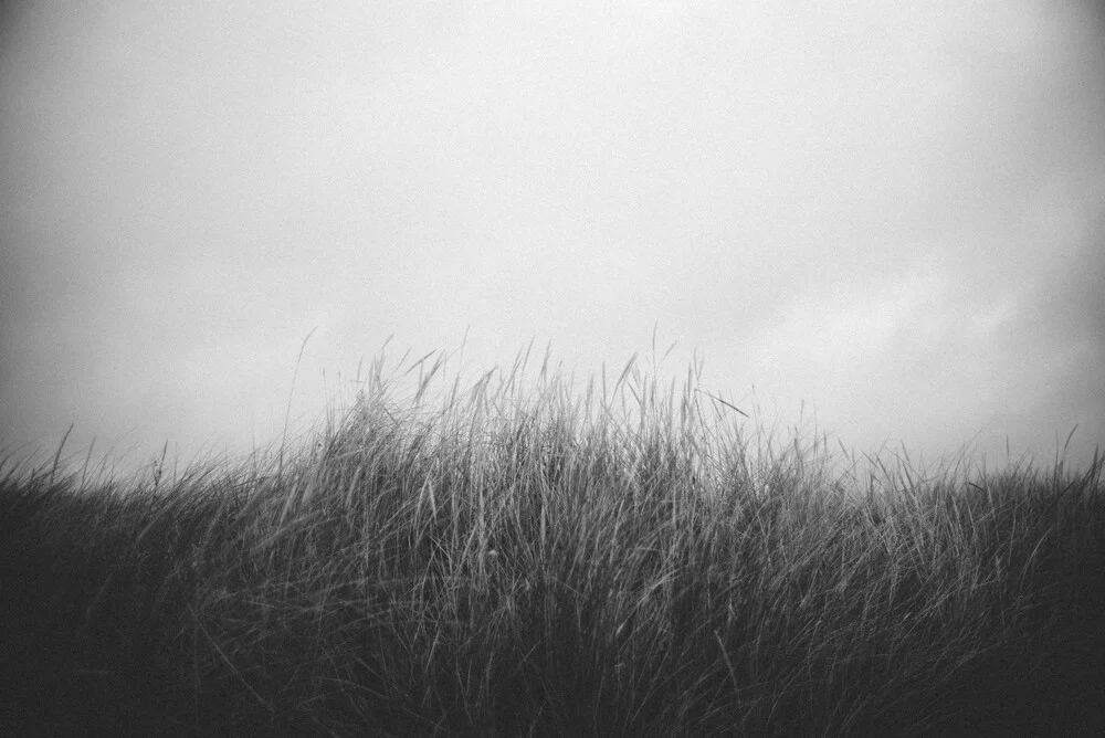 Photo art by Oliver Henze: beach grass in a calm coastal landscape