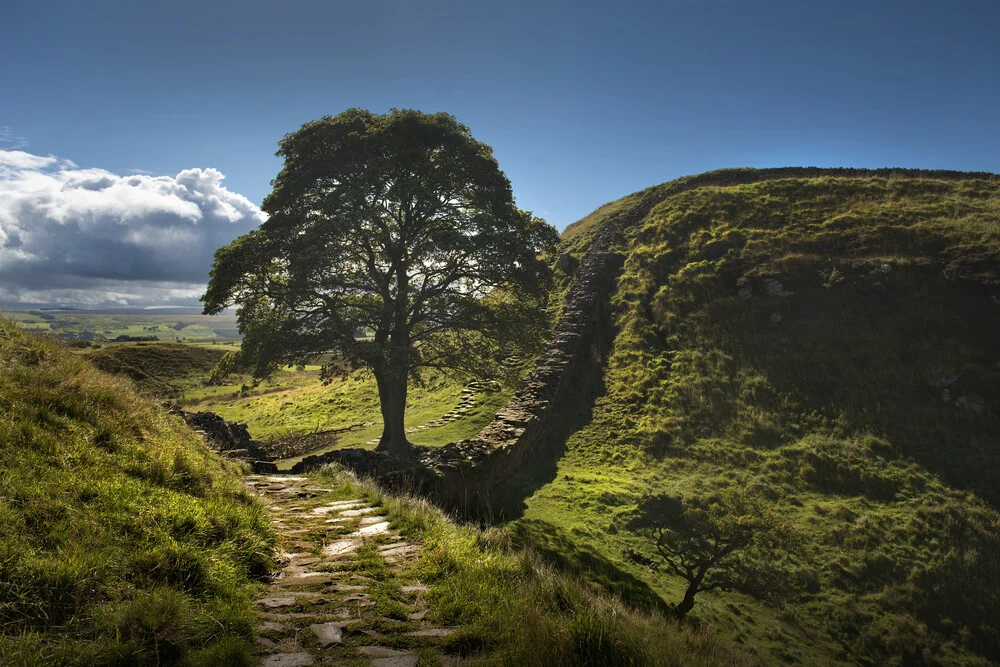 Sycamore Gap, Hadrian's Wall - fotokunst von Steve Clements