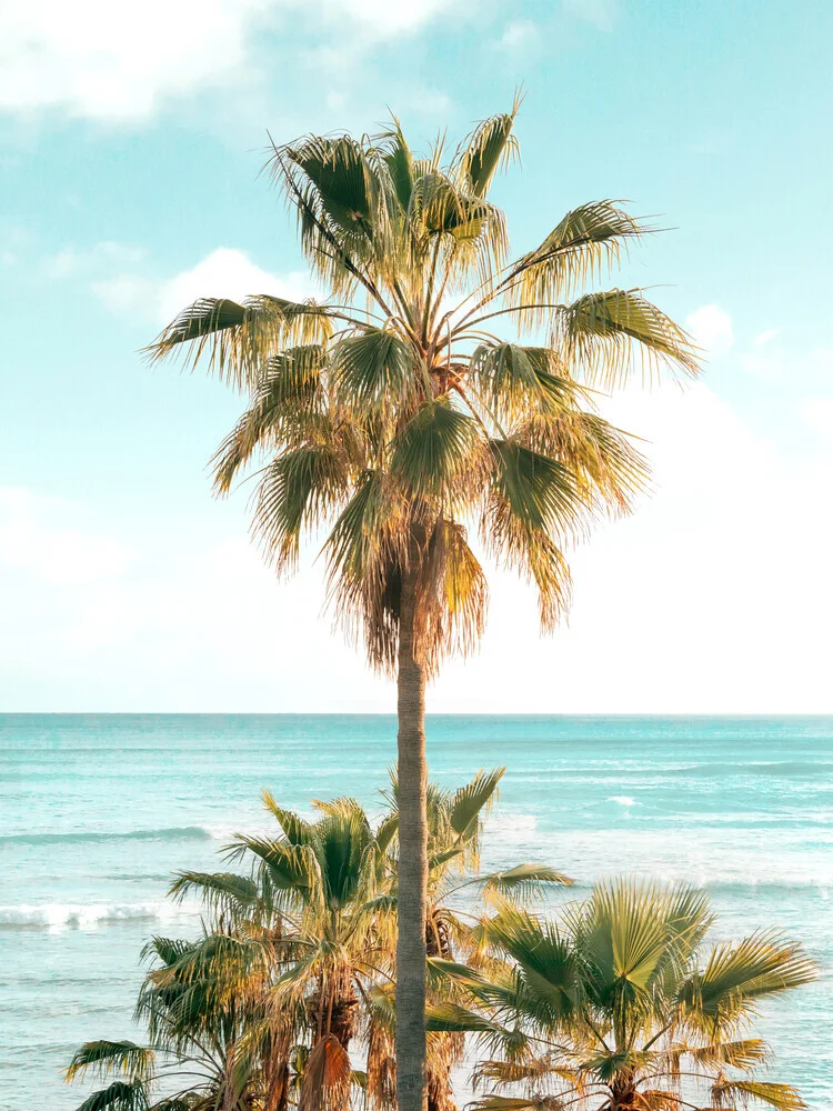 Photo art by Gal Pittel: palms by the beach, gentle waves nearby