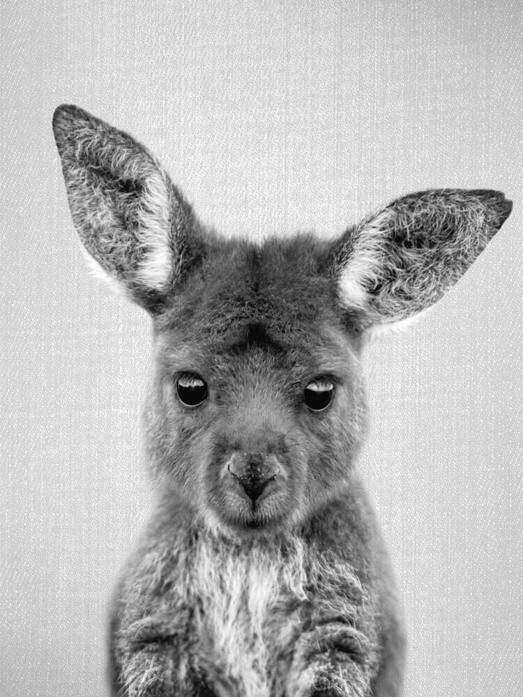 Photo art by Gal Pittel: cute baby kangaroo in black and white