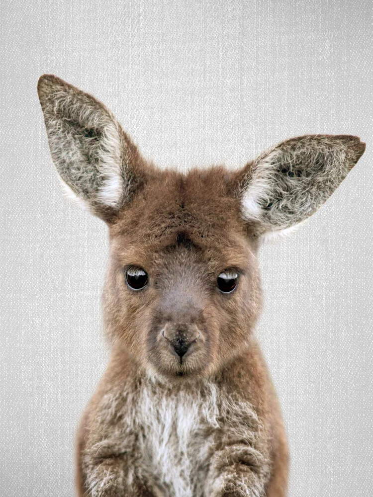 Cute baby kangaroo peeking from a pouch, set in a natural environment