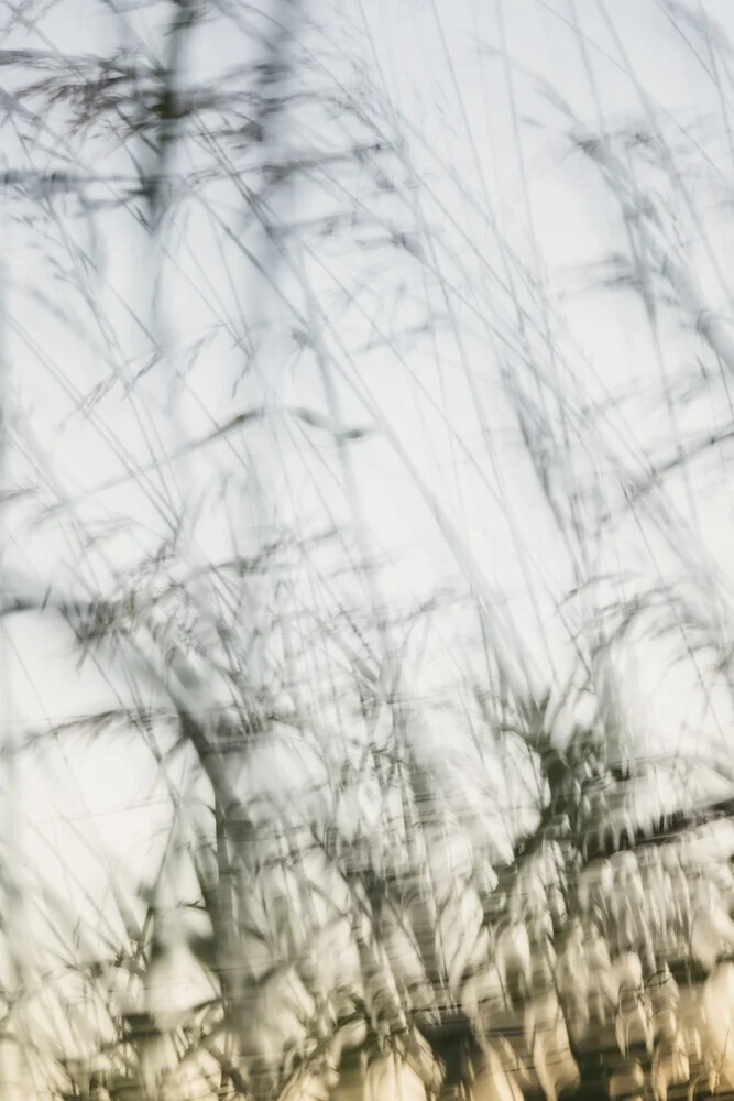 Photo art by Nadja Jacke: gentle movements of grasses in a meadow