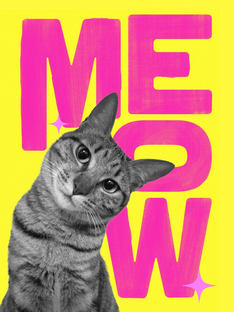 Wall art featuring a colorful cat design in pink and yellow by Ania Więcław.