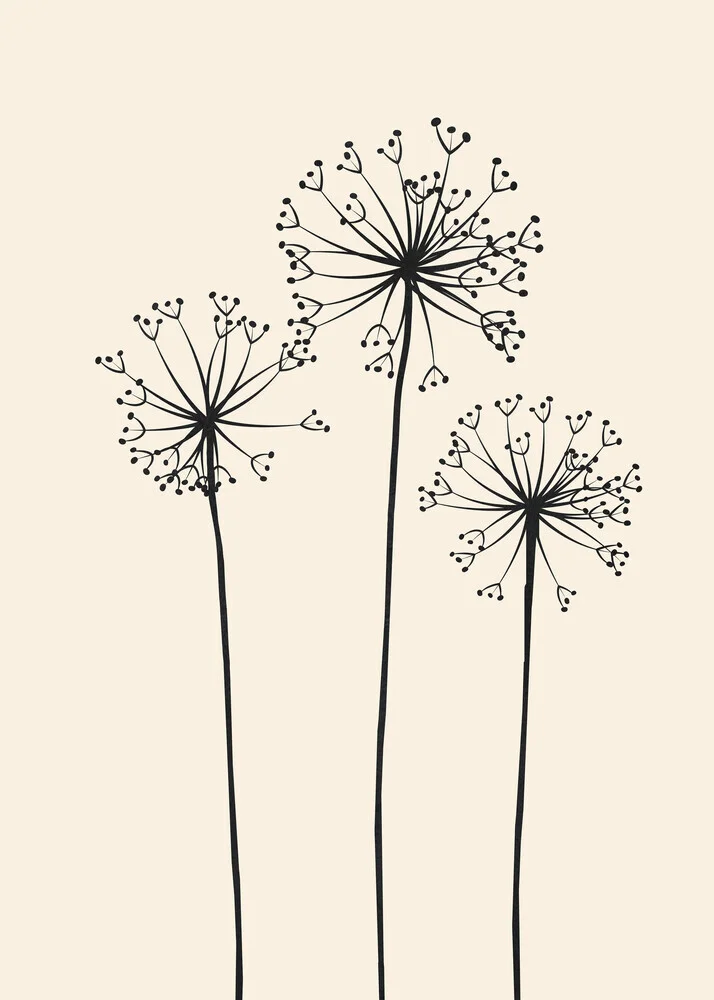 Illustration by Branka Kodžoman: soft dandelion in a neutral tone