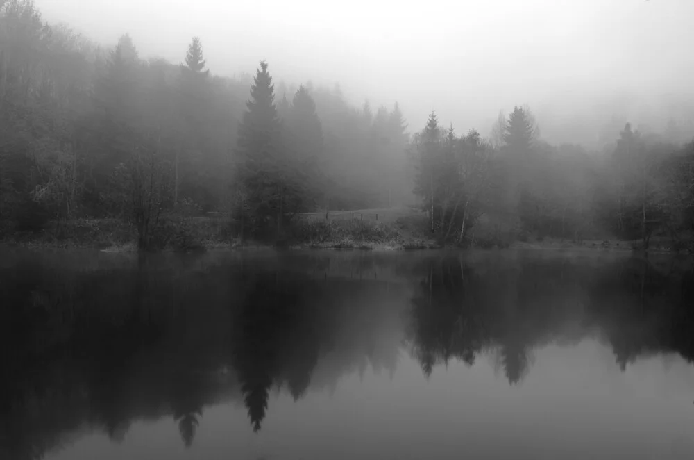 Evening fog at the lake - Fineart photography by Michaela Ertelt