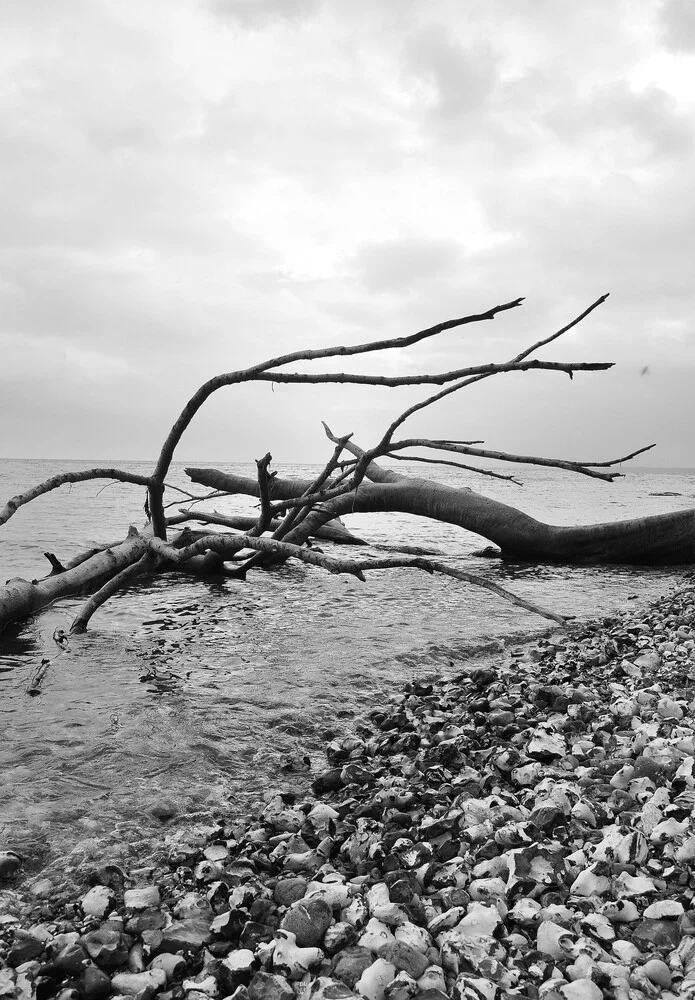 nach dem sturm - fotokunst von Michaela Ertelt