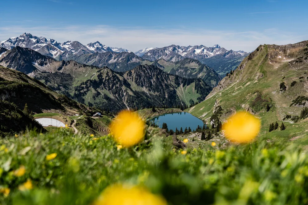 Photo art by Sascha Hoffmann-Wacker: mountain lake surrounded by flowers and meadows.