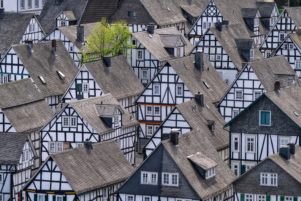 Charming half-timbered house surrounded by trees in Freudenberg, North Rhine-Westphalia