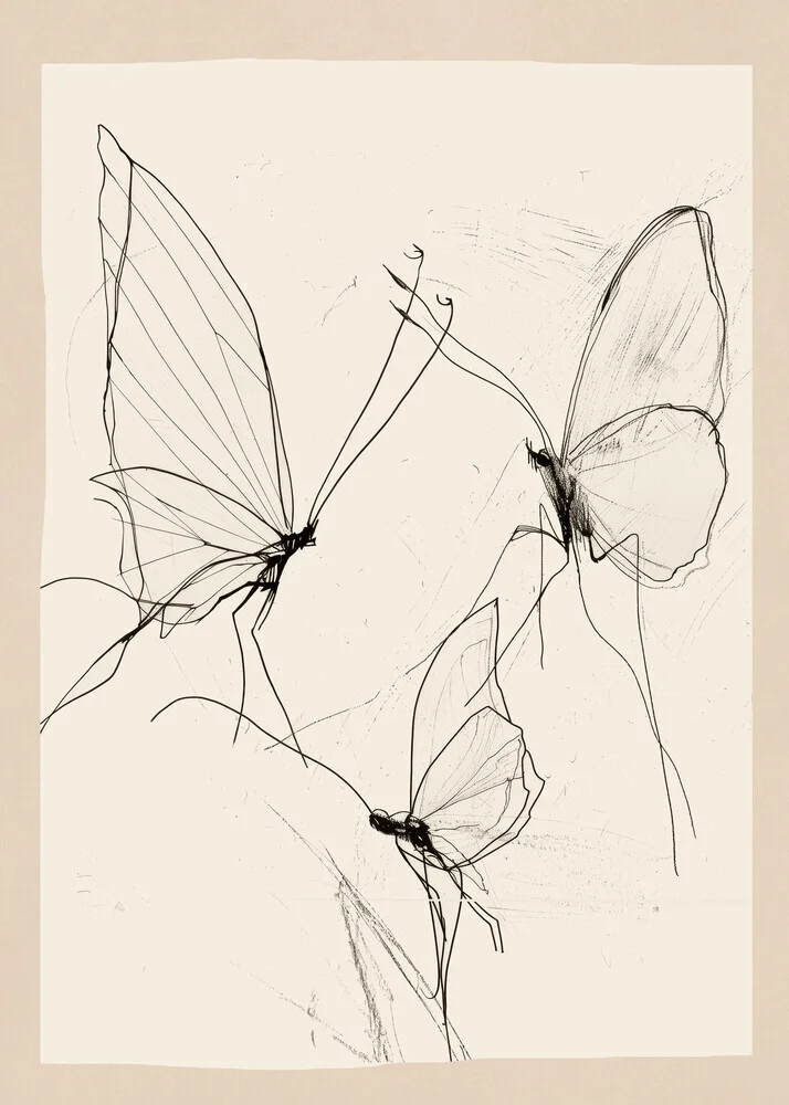 Schmetterlingsillustration von Branka Kodžoman: minimalistisches Design in sanften Linien.