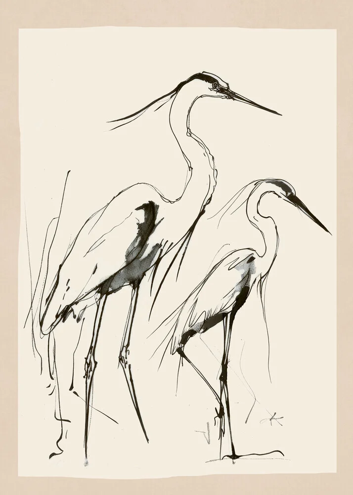 Illustration von Branka Kodžoman: zwei Reiher im ruhigen Wasser
