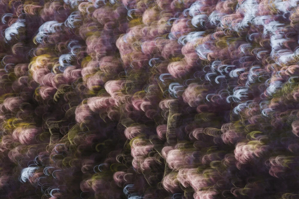 Abstract cherry blossoms in soft colors, conveying motion and lightness.