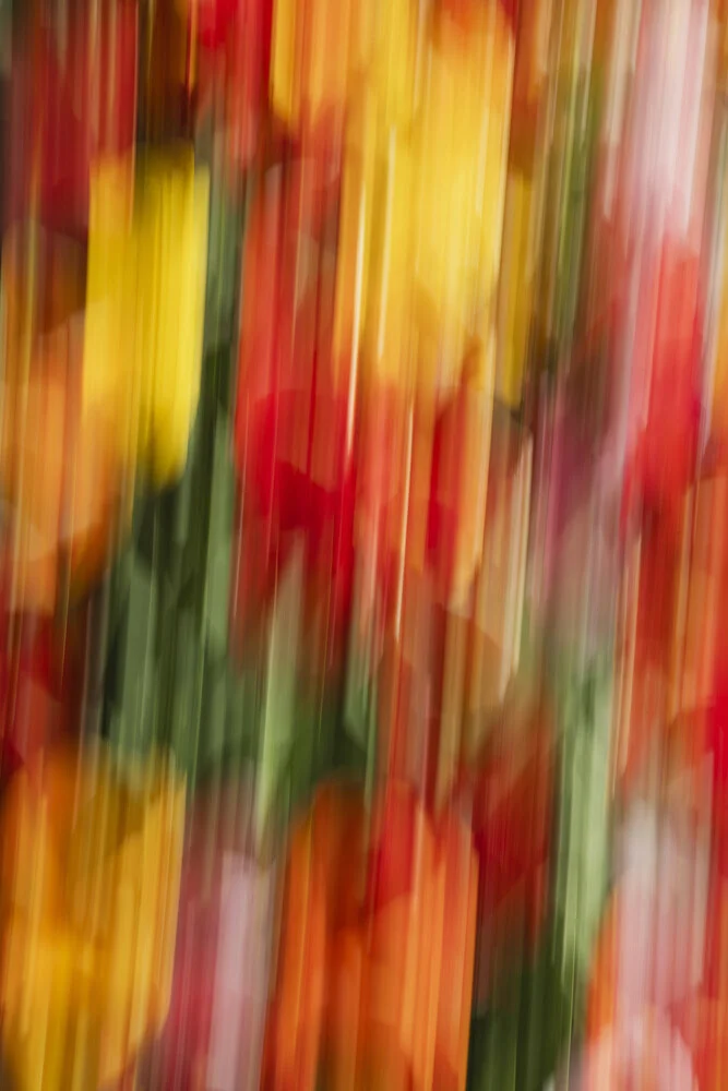 Abstrakte Tulpen in sanften Farben, die Bewegungsunschärfe und Farbstreifen zeigen.