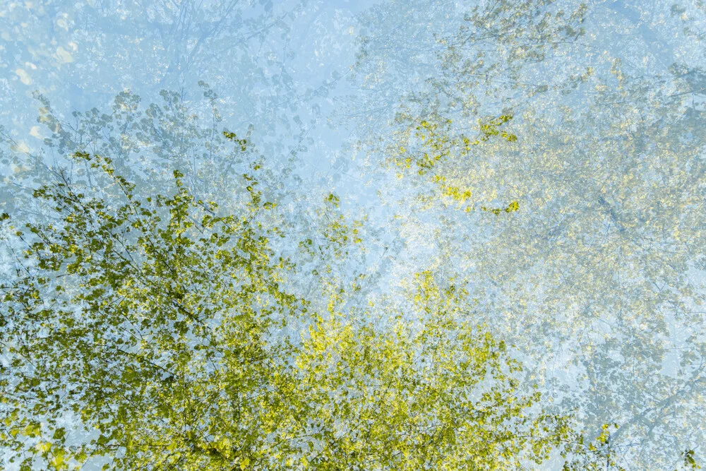 Fotokunst von Nadja Jacke: abstrakter Frühlingshimmel mit Baumkronen