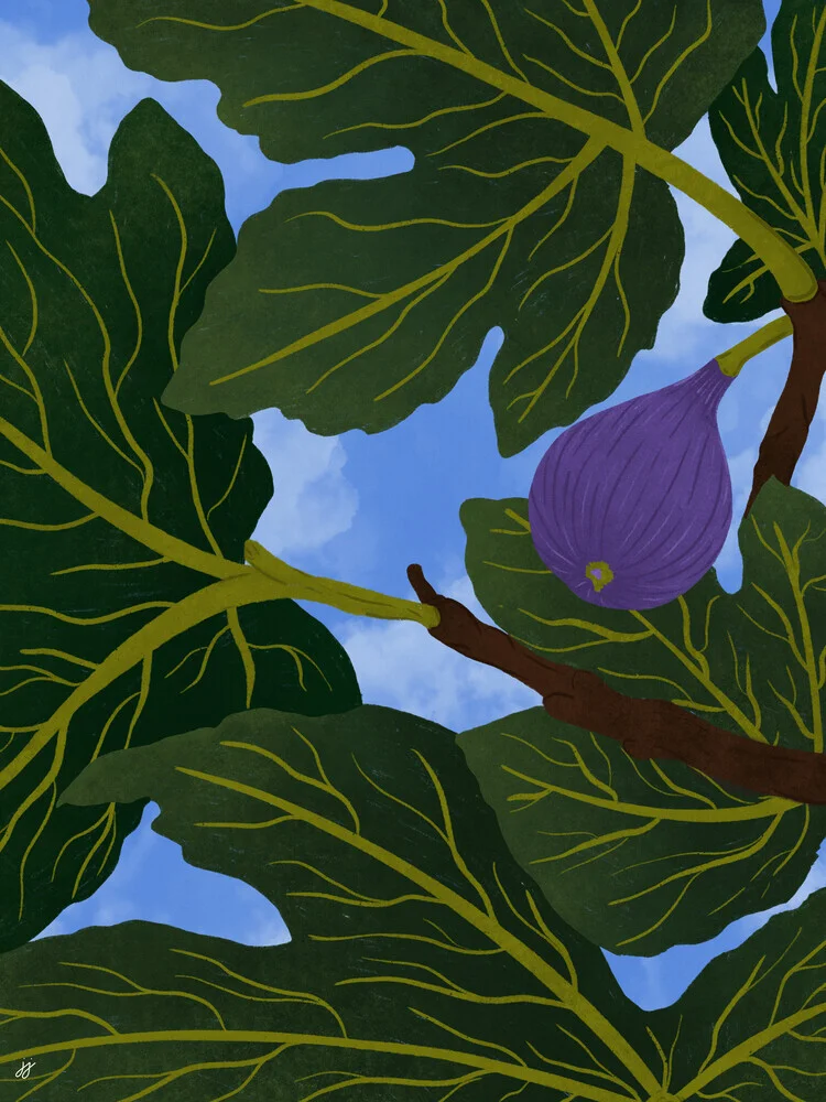 Wall art by Javiera Hernandez: stylish illustration of a fig tree in Mediterranean style