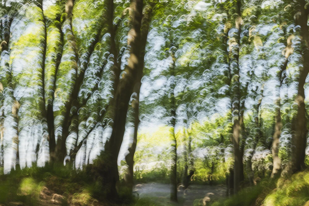 Abstract spring forest in sunlight, soft blur and motion in the image