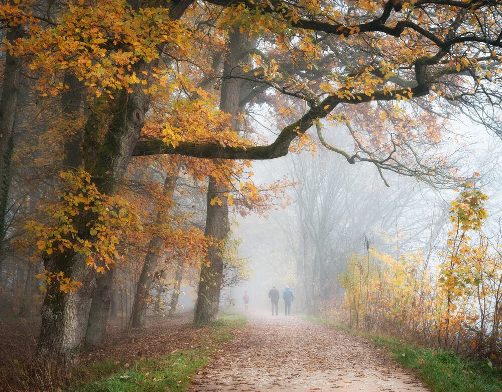 Fotokunst von Heiko Gerlicher: ruhiger Herbstweg im nebligen Wald