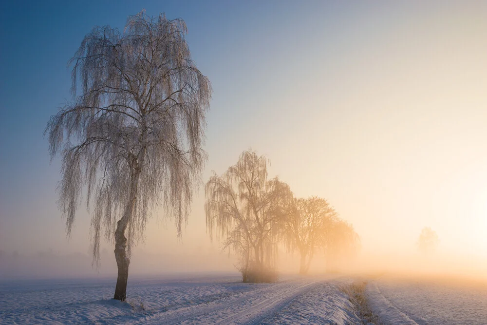 Frostiger Wintermorgen mit schneebedecktem Weg und Sonnenaufgang hinter Bäumen