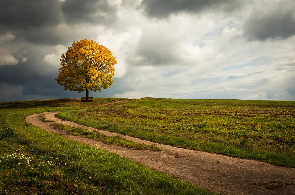 Photo art by Heiko Gerlicher: autumn tree on a peaceful path