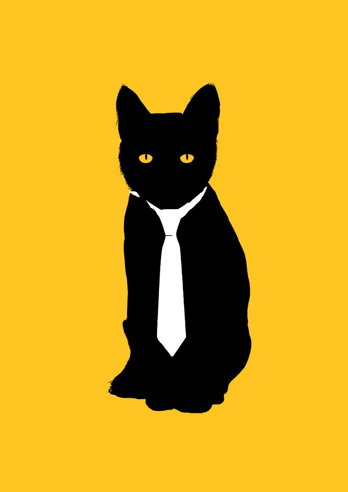 Schwarze Katze mit Krawatte und orangefarbenem Hintergrund in humorvoller Pose