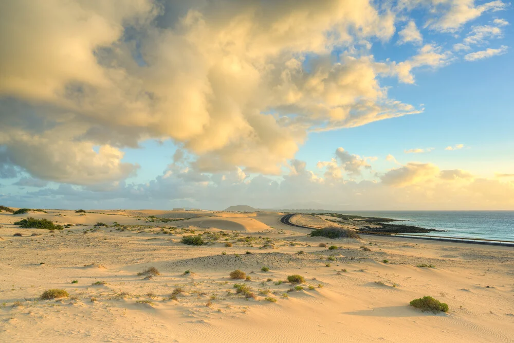 Dünenlandschaft bei Morgendämmerung auf Fuerteventura mit sanften Sandhügeln.