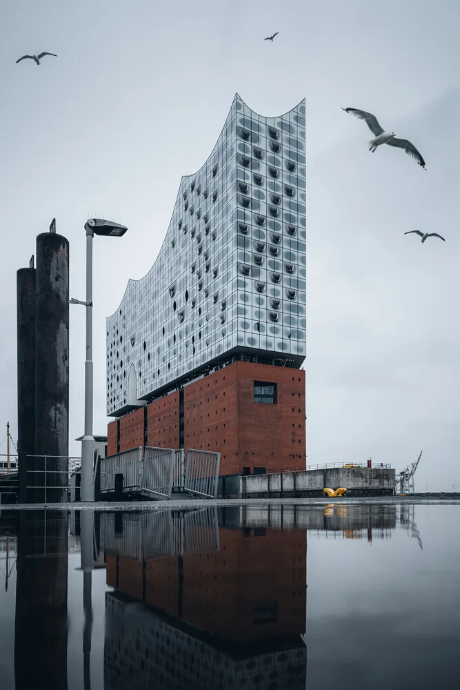 Fotokunst: Blick auf die Elbphilharmonie mit Möwen und Spiegelung im Pfütze