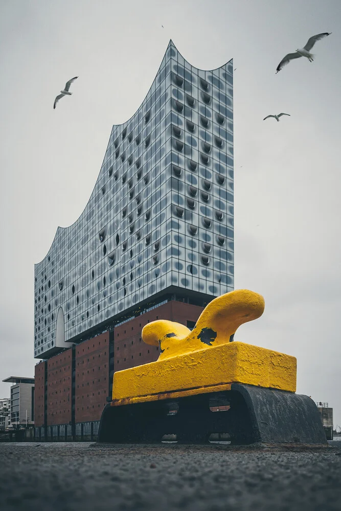 Fotokunst von Björn Witt: moderne Architekturaufnahme der Elbphilharmonie in Hamburg