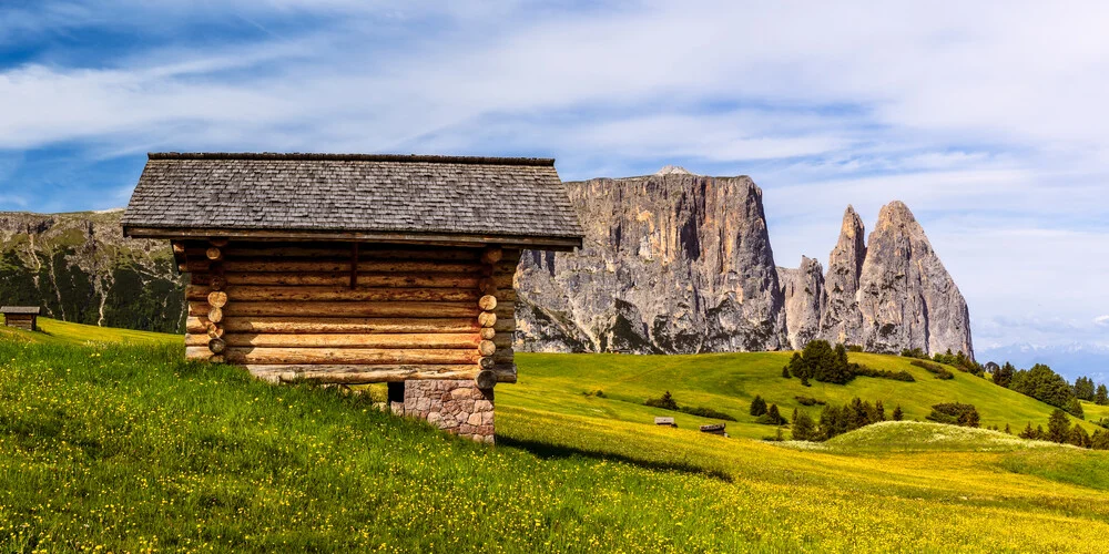Fotokunst von Achim Thomae: Frühlingswiese mit Trollblumen in den Dolomiten