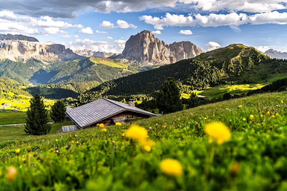 Fotokunst von Achim Thomae: Frühlingslandschaft in den Dolomiten mit bunten Trollblumen