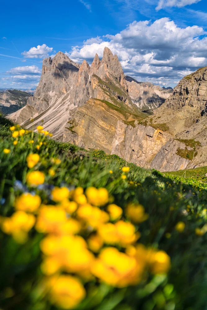 Photo art by Achim Thomae: spring landscape in the Dolomites with colorful flowers