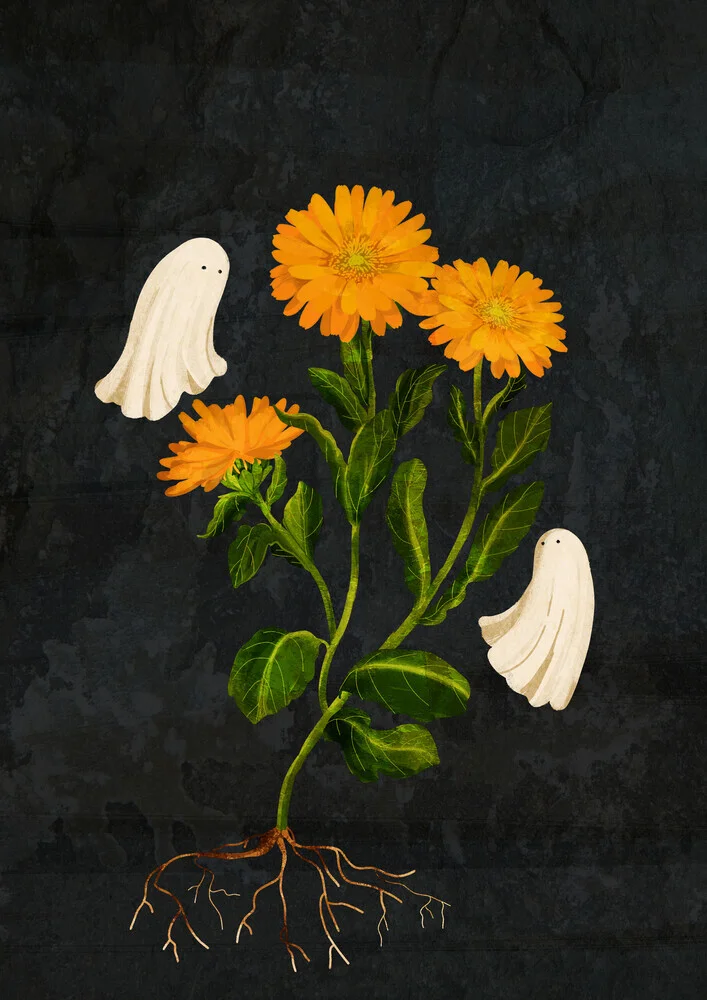 Photo art by Katherine Blower: vibrant orange marigold flowers in soft light.