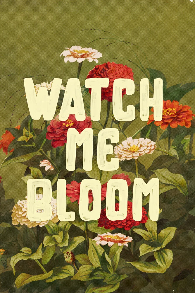 Illustration by Jonas Loose: Colorful flowers with motivational quotes.