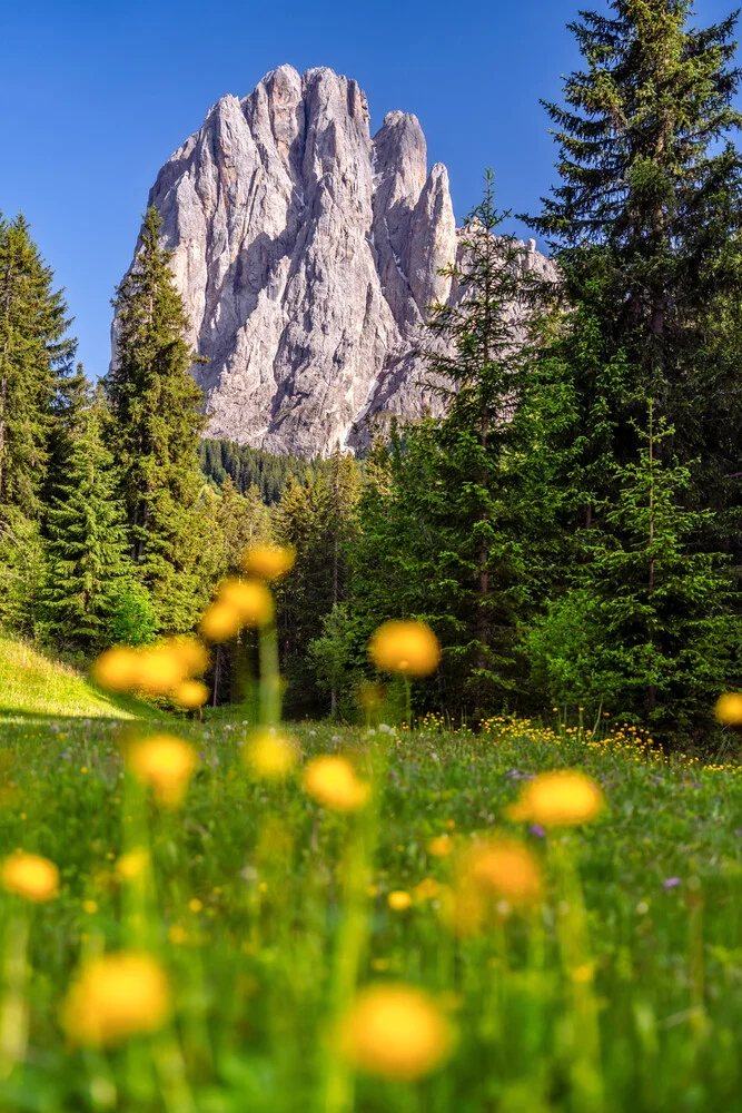 Fotokunst von Achim Thomae: Langkofel im Frühling, sanfte Farben und ruhige Atmosphäre.