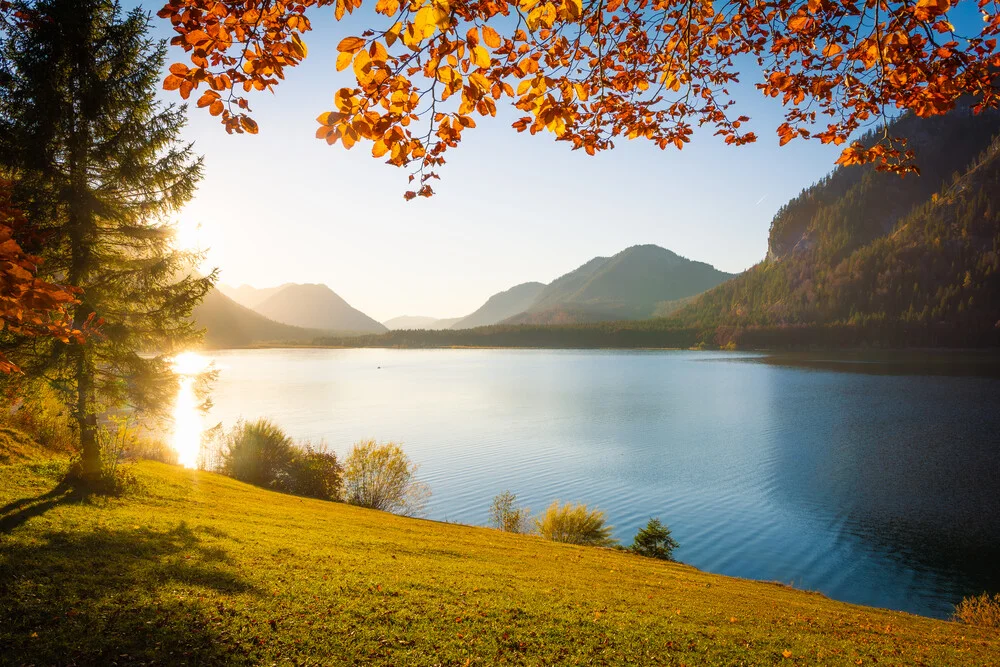 Beautiful autumn landscape at Sylvenstein reservoir with colorful leaves and mountains in the background.